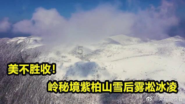 同行市北 服务万家:东营银行青岛市北支行正式开业