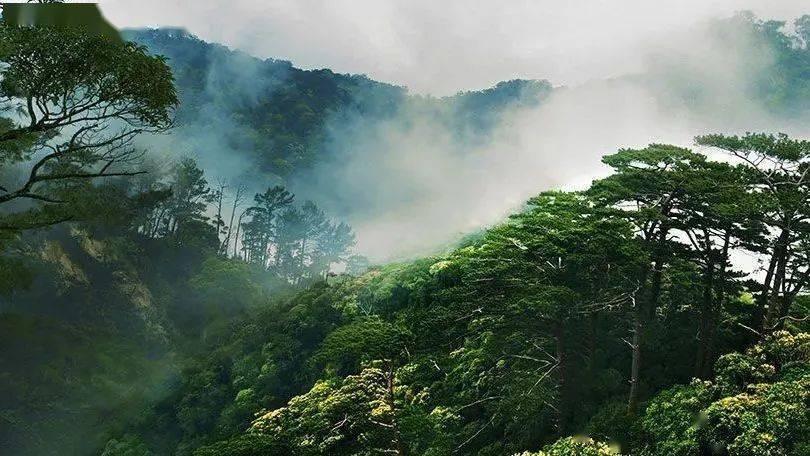 深圳宝山技工学校|初中毕业可以选择哪些学校?