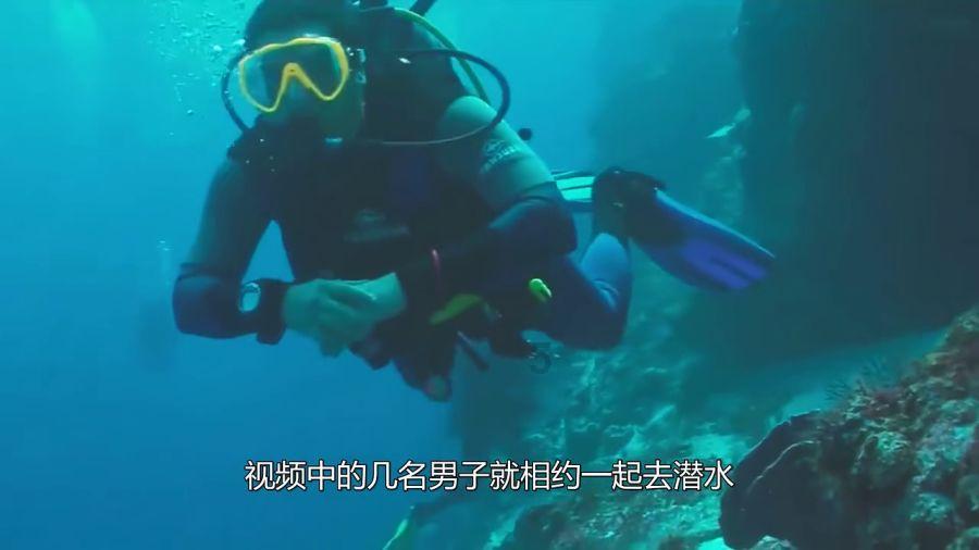全战：不列颠王座