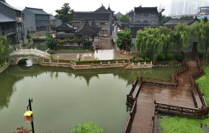 御龙在天