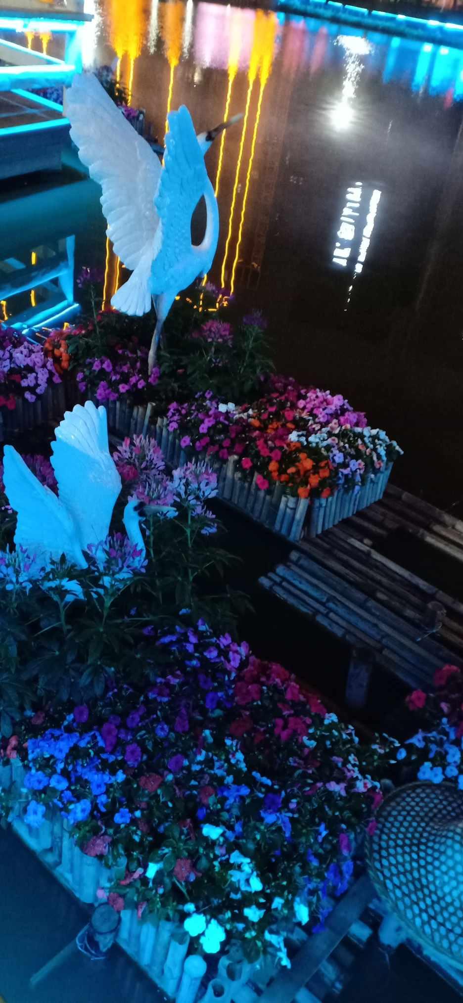 紫色系